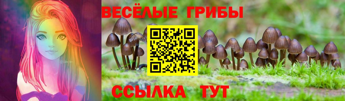 Галлюциногенные грибы мухоморы Кольчугино